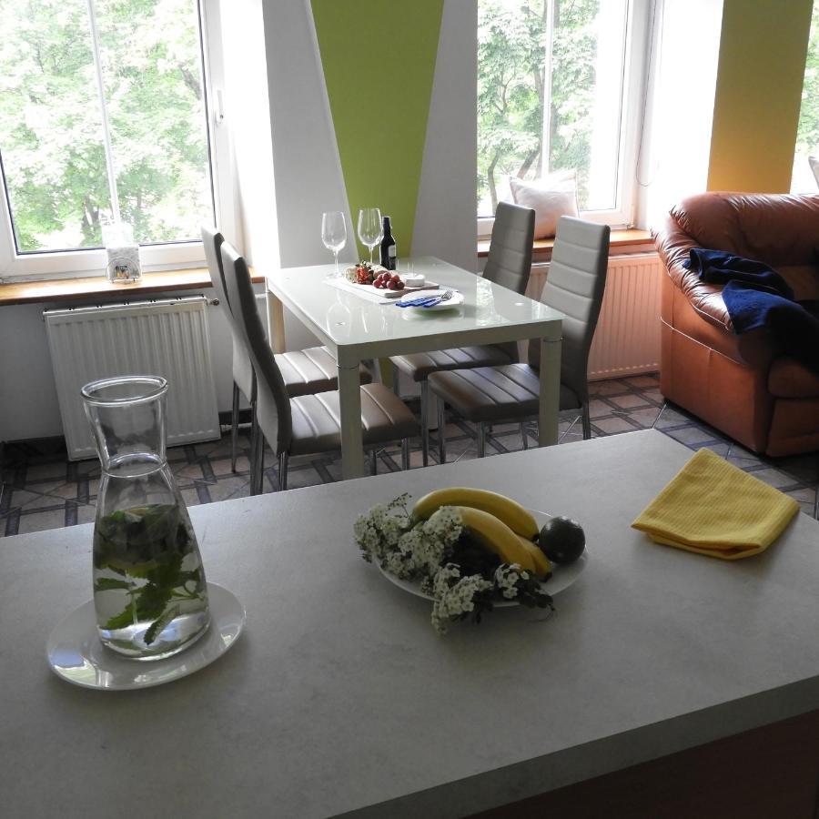 吉日茨科Apartament Przy Parku公寓 外观 照片